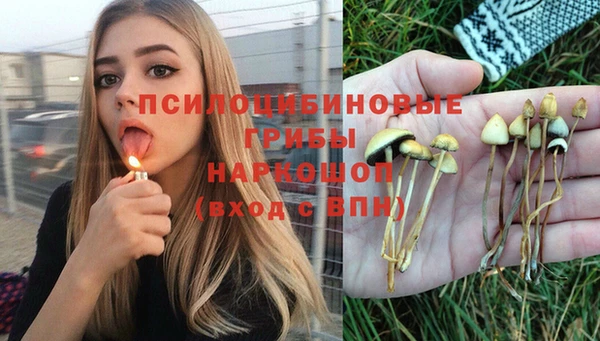 бошки Верхний Тагил